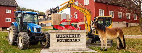 Buskerud fylkeskommune, Buskerud videregående skole logo