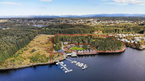 Bilde 1 av annonsen