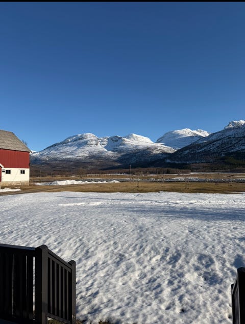 Bilde 2 av annonsen