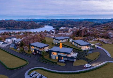 Bilde 1 av annonsen