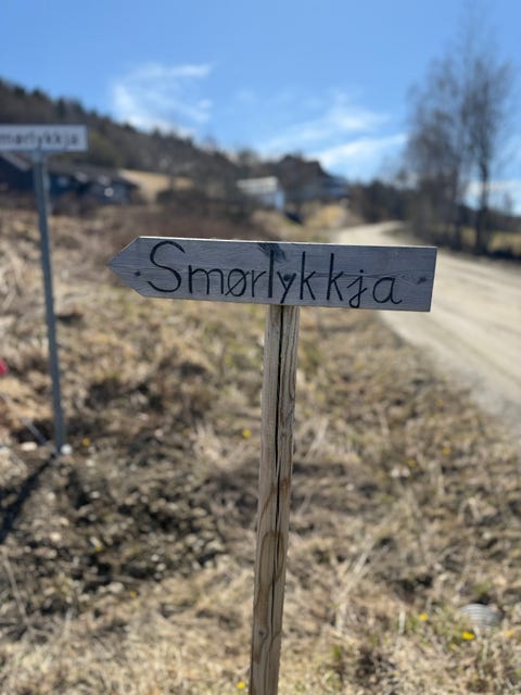 Bilde 2 av annonsen