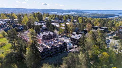 Bilde 2 av annonsen
