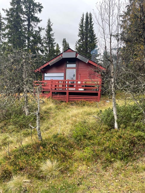 Bilde 2 av annonsen