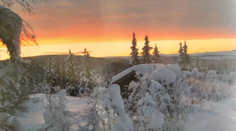 Bilde 1 av annonsen