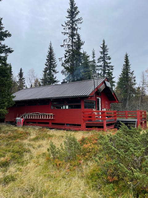 Bilde 2 av annonsen