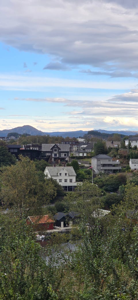 Bilde 2 av annonsen