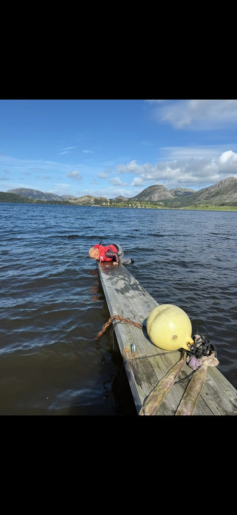 Bilde 1 av annonsen