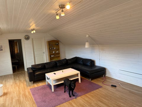 Bilde 2 av annonsen