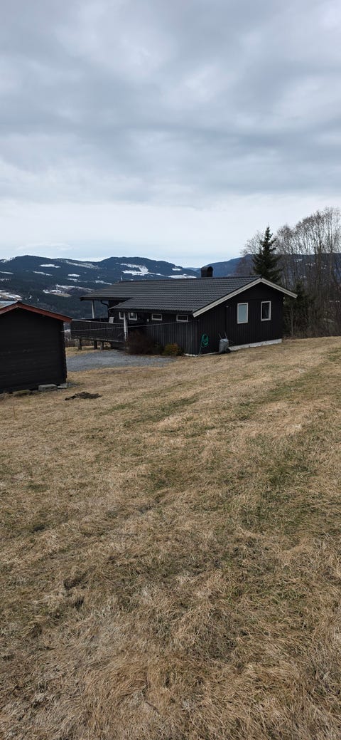 Bilde 1 av annonsen