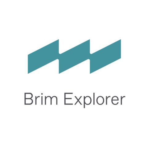 BRIM EXPLORER AS logo