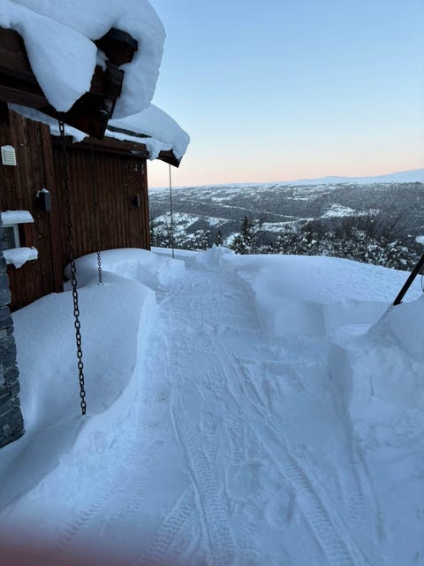 Bilde 1 av annonsen