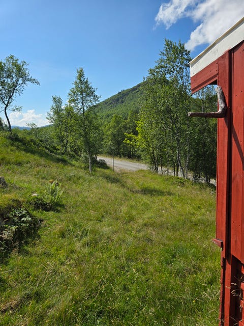 Bilde 2 av annonsen