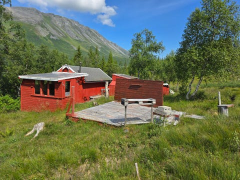 Bilde 1 av annonsen