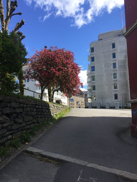 Bilde 2 av annonsen