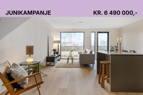 Bilde 1 av annonsen