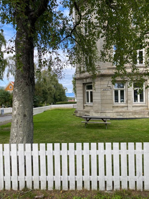 Bilde 1 av annonsen