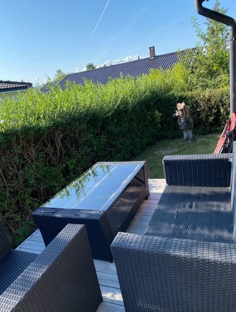 Bilde 2 av annonsen