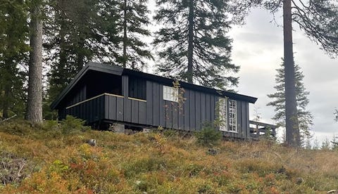 Bilde 1 av annonsen
