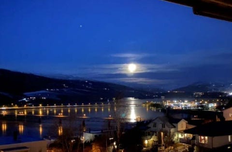 Bilde 2 av annonsen