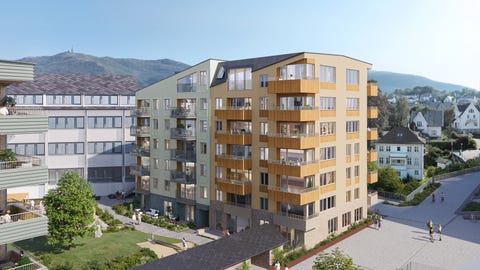 Bilde 1 av annonsen