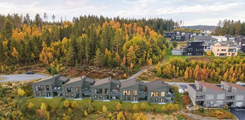 Bilde 1 av annonsen