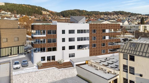 Bilde 1 av annonsen