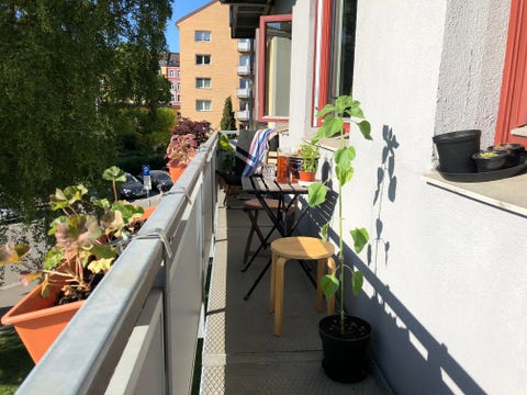 Bilde 2 av annonsen