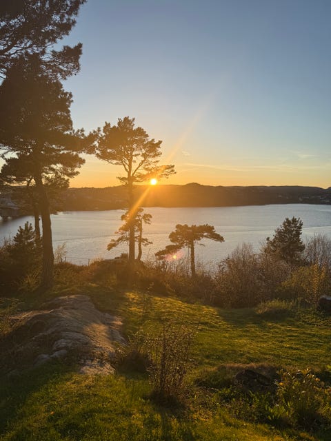 Bilde 2 av annonsen