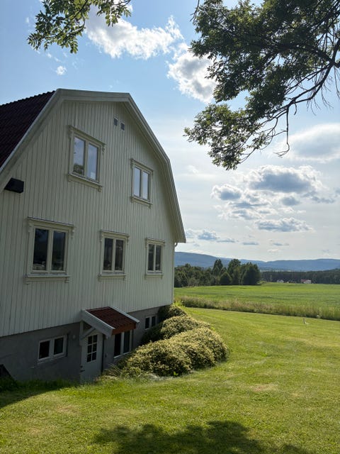 Bilde 1 av annonsen