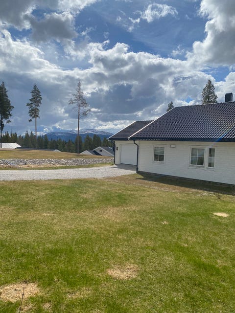Bilde 1 av annonsen