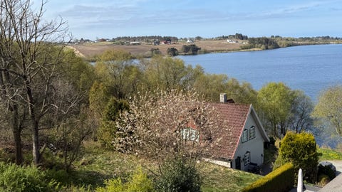 Bilde 2 av annonsen