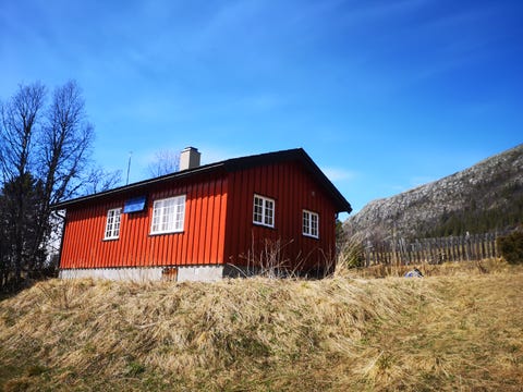 Bilde 1 av annonsen