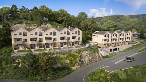 Bilde 1 av annonsen