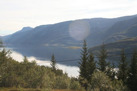 Bilde 2 av annonsen