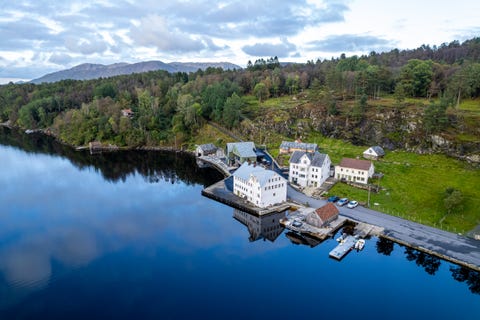 Bilde 1 av annonsen