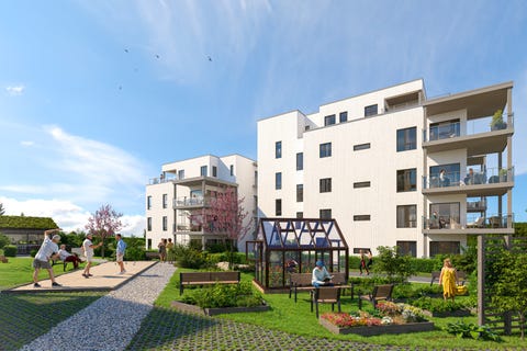 Bilde 1 av annonsen