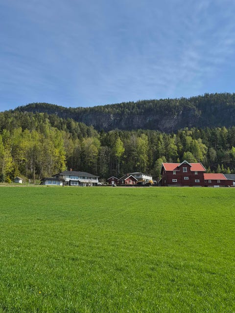 Bilde 1 av annonsen