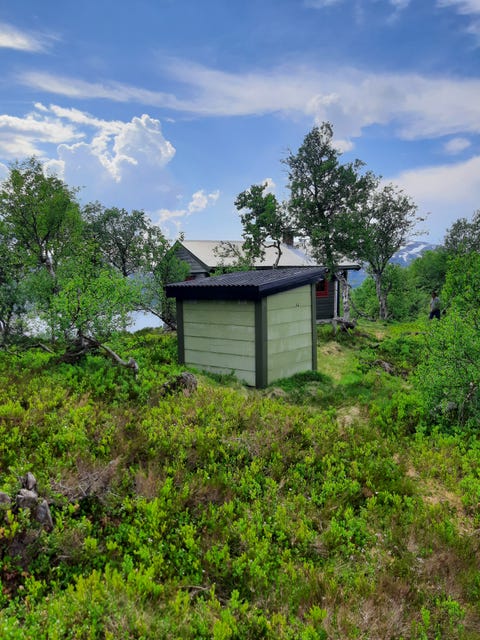 Bilde 1 av annonsen