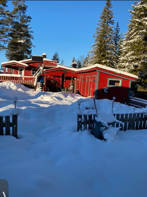 Bilde 1 av annonsen