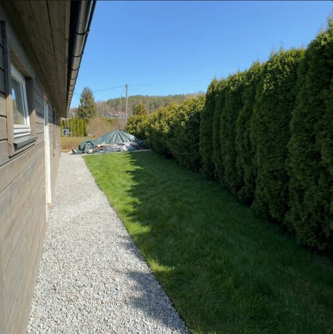 Bilde 2 av annonsen