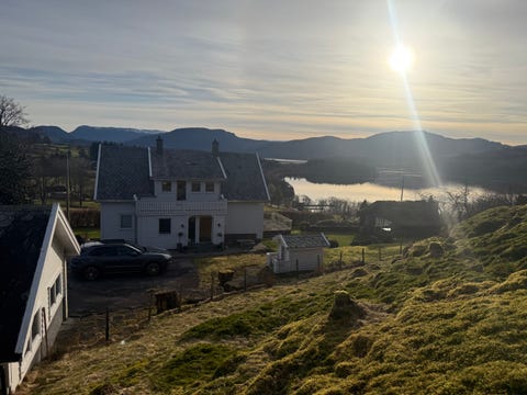 Bilde 2 av annonsen