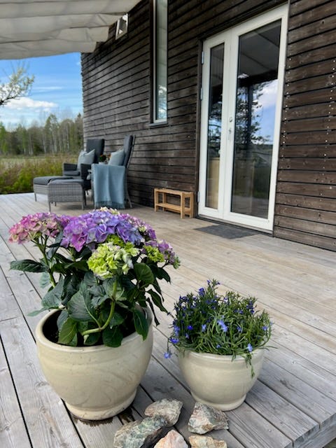Bilde 2 av annonsen