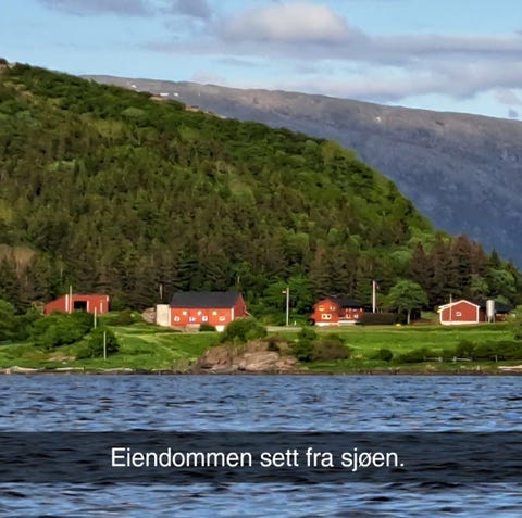 Bilde 1 av annonsen