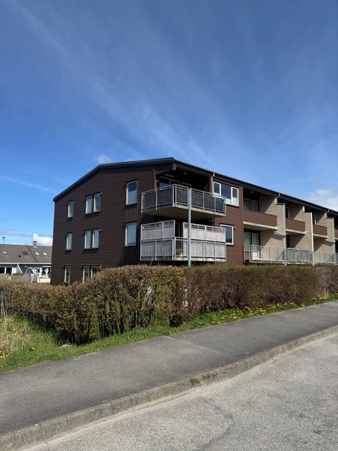 Bilde 1 av annonsen