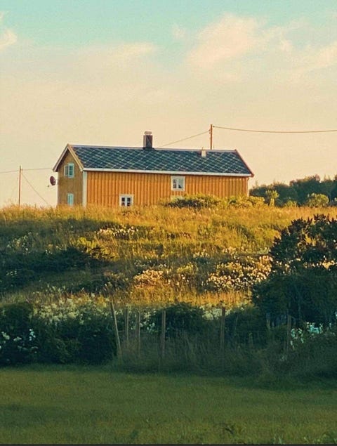 Bilde 1 av annonsen