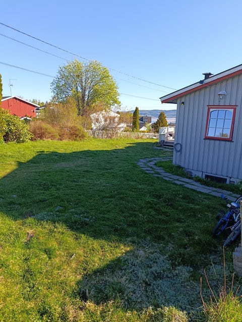 Bilde 1 av annonsen