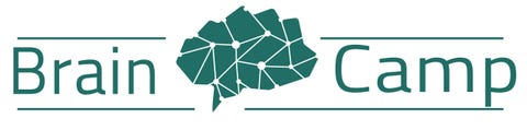 Brain Camp As logo