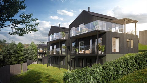Bilde 1 av annonsen