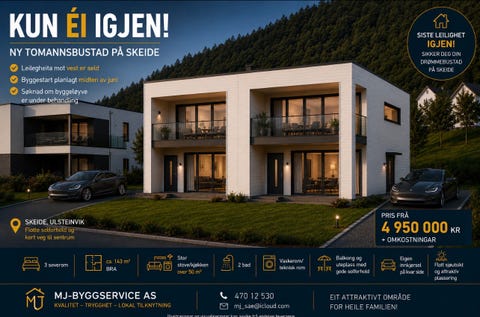 Bilde 1 av annonsen