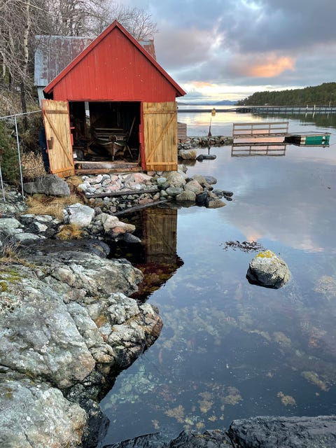 Bilde 1 av annonsen